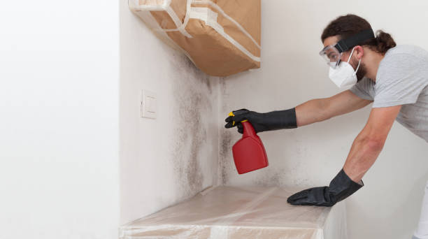 Professional Basement Mold Remediation technician working in Pembroke Pines, FL